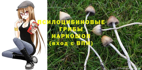 ПСИЛОЦИБИНОВЫЕ ГРИБЫ Навашино
