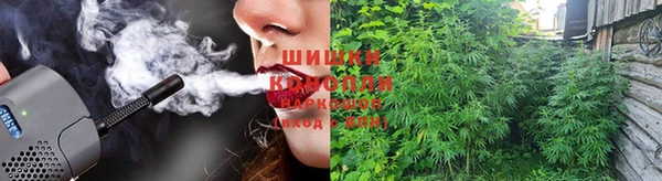 молекула духа Абинск