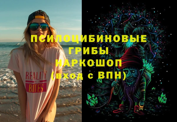 дмт Абаза