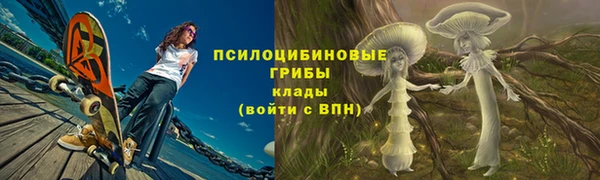 дмт Абаза