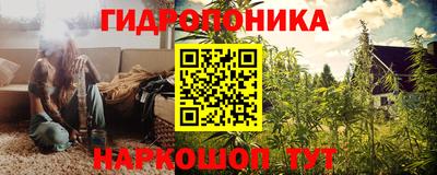 шишки Среднеуральск