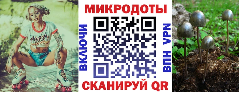 Галлюциногенные грибы мухоморы  Стерлитамак 