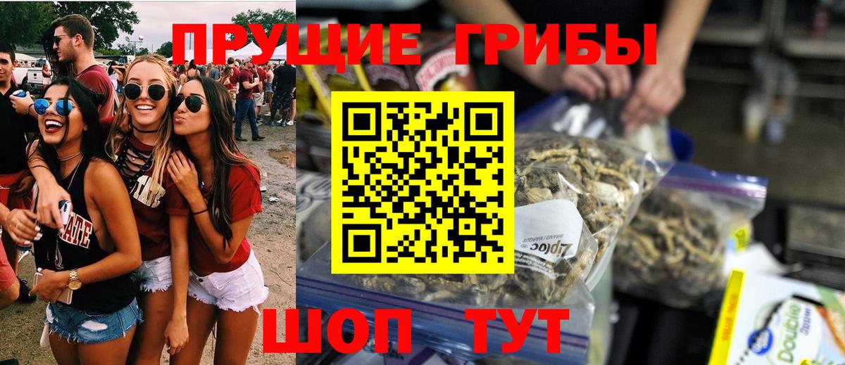 Стерлитамак  Псилоцибиновые грибы прущие грибы  Вход с VPN 